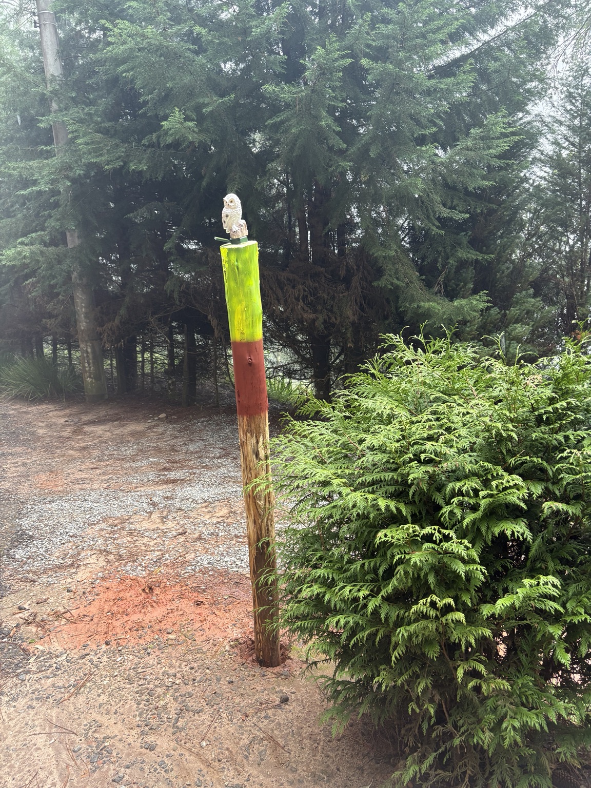 Poste verde com uma coruja que identifica a chegada à Casa Taru